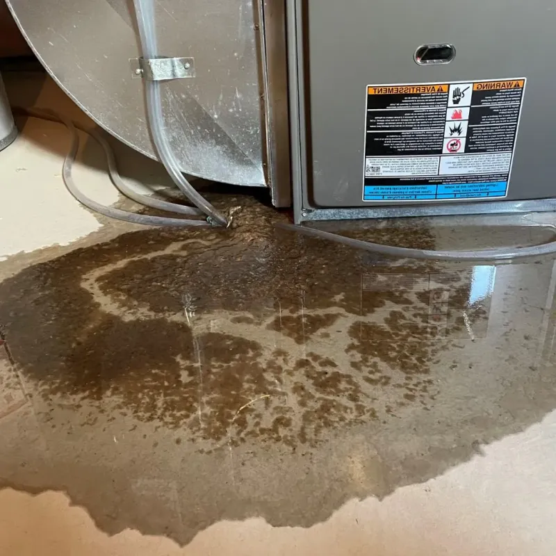 Pipe Burst and Leak Restoration in Caddo, OK